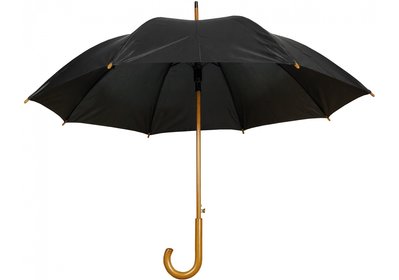 Зонт-трость полуавтомат PROMO TWIST E98400-01 фото