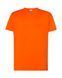 Футболка чоловіча REGULAR T-SHIRT TSRA150-BC-1 фото