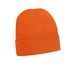 Шапка ACRYLIC BEANIE - TOQUE 4243_OR фото