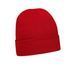 Шапка ACRYLIC BEANIE - TOQUE 4243_RE фото