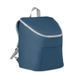 Рюкзак-холодильник IGLO BAG MO985304 фото