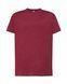 Футболка чоловіча REGULAR T-SHIRT TSRA150-BUH-1 фото