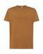 Футболка чоловіча REGULAR T-SHIRT TSRA150-BR-1 фото