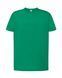 Футболка чоловіча REGULAR T-SHIRT TSRA150-KG-1 фото